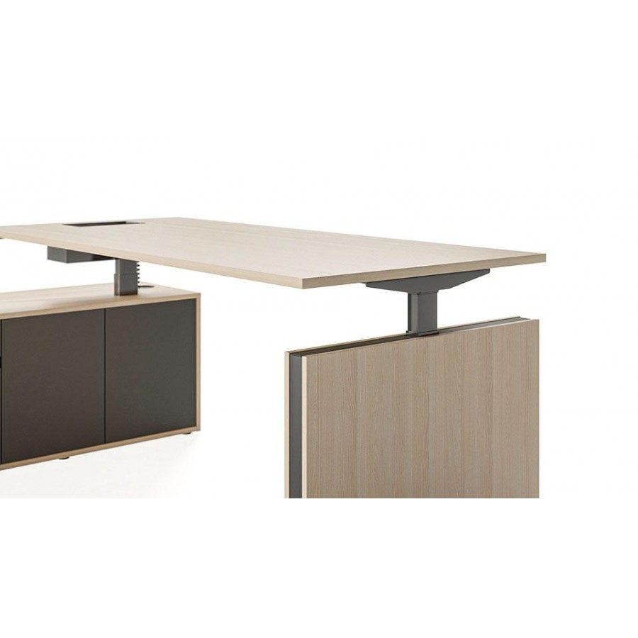 Motion Executive Desk